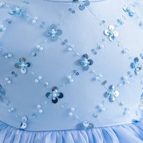 Blue Ruffled Layered Dress - Picture 2 of 6